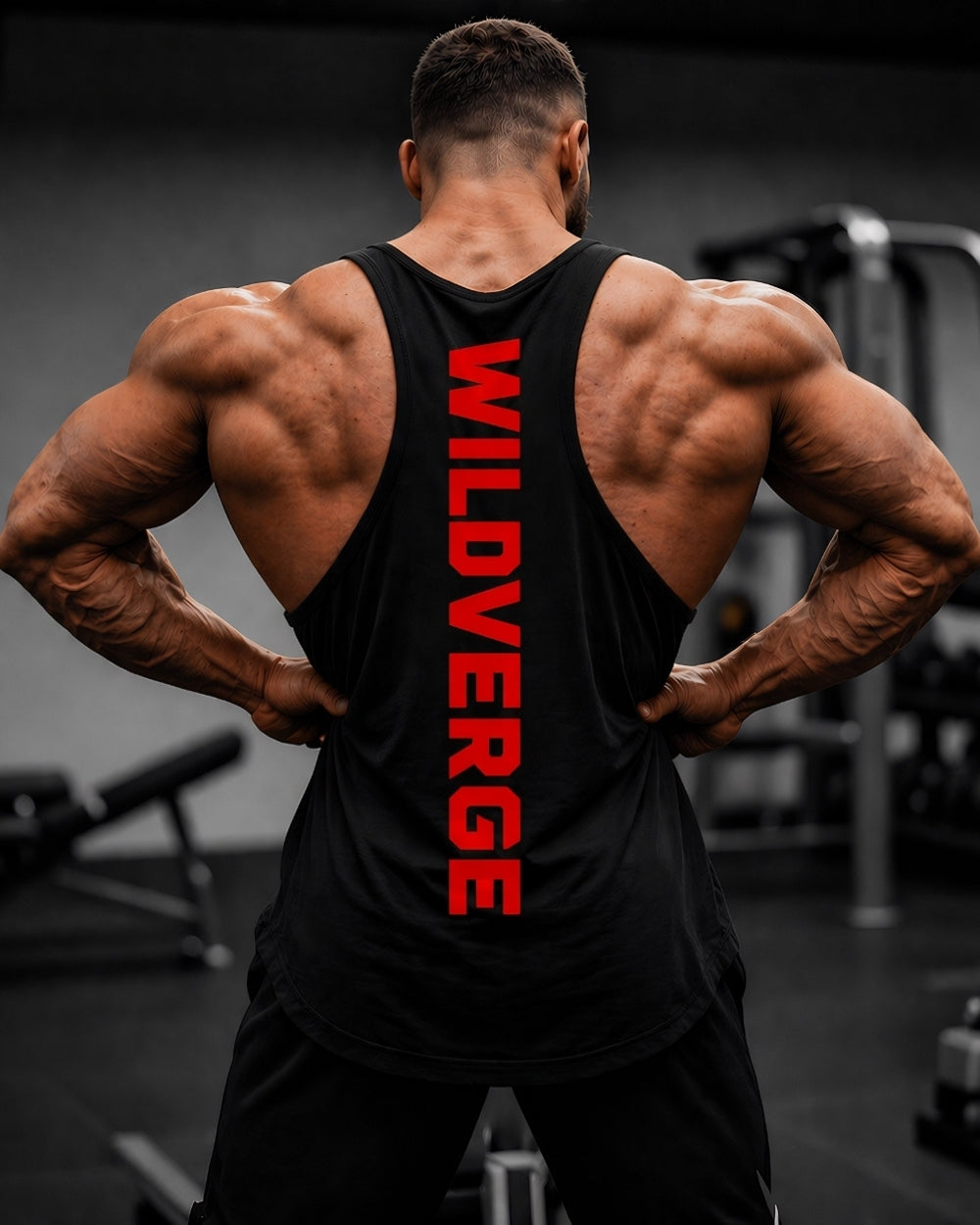 Signature Stringer